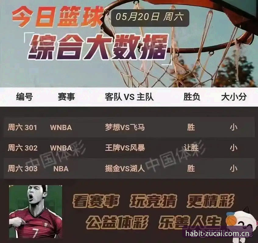 资深足彩用户分享：iPhone访问足彩网竞彩官网中国的几个核心细节